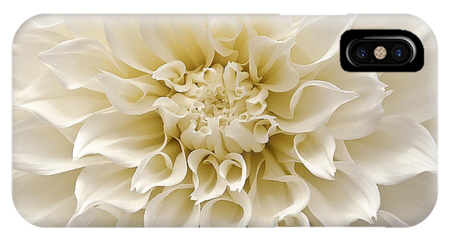 Flowers iPhone X Case featuring the photograph Georgia by Windy Osborn