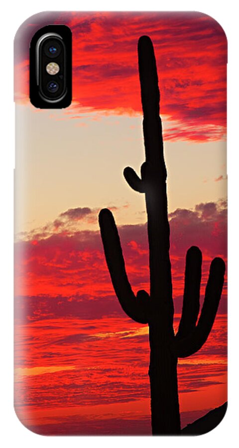 Sunset iPhone X Case featuring the photograph Giant Saguaro Southwest Desert Sunset by James BO Insogna