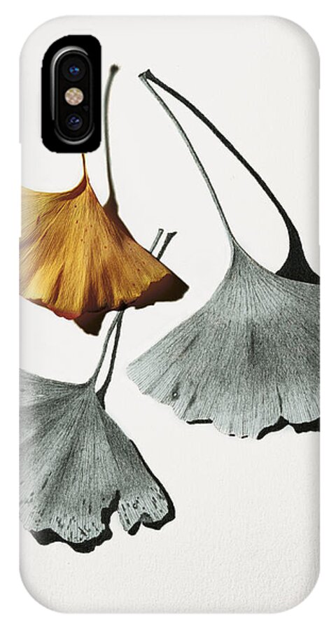 Pencil Drawing iPhone X Case featuring the mixed media Ginkgo Leaves by Garry McMichael