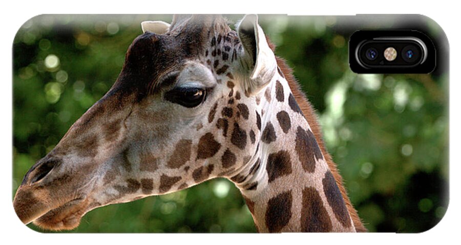 Tall iPhone X Case featuring the photograph Giraffe Portrait by Stephen Melia