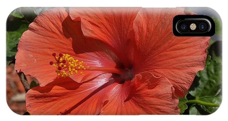 Red iPhone X Case featuring the photograph Glorious Hibiscus by Sandy Poore
