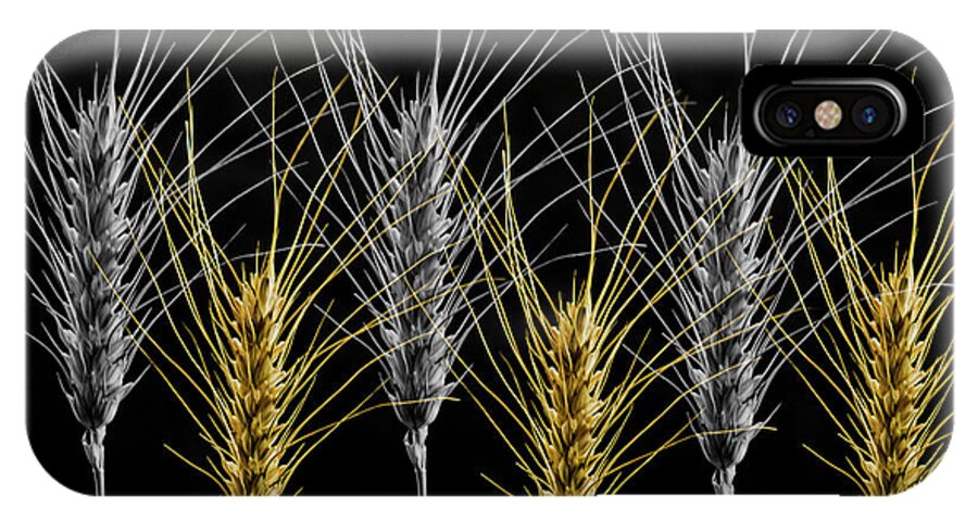 Wheat iPhone X Case featuring the photograph Gold and Silver Wheat by Wolfgang Stocker