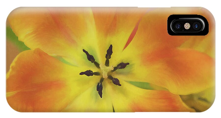 Tulip iPhone X Case featuring the photograph Gold Tulip Explosion by Teresa Wilson