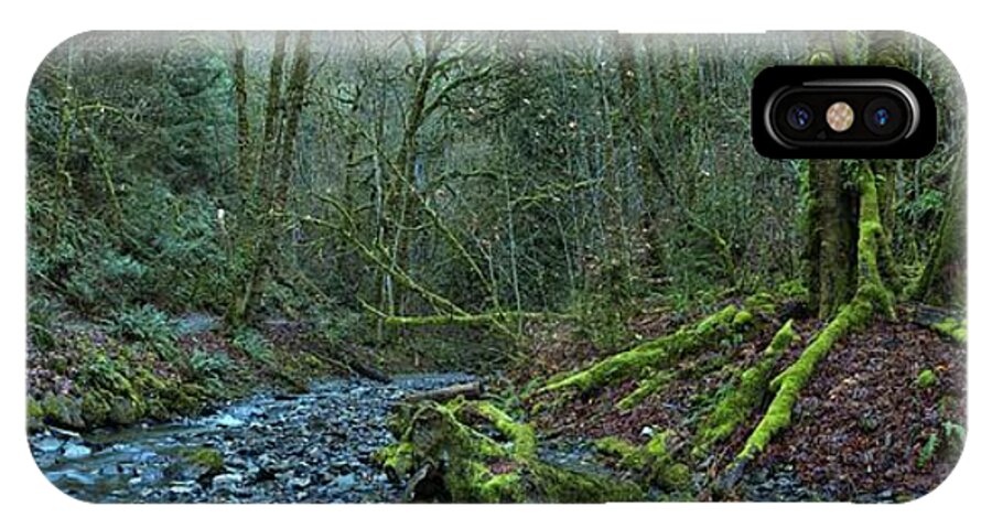 Oldstream Provincial Park iPhone X Case featuring the photograph Goldstream park Panorama by Adam Jewell