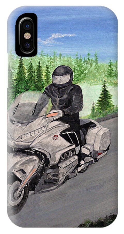 2018 Goldwing iPhone X Case featuring the painting Goldwing by Terry Frederick