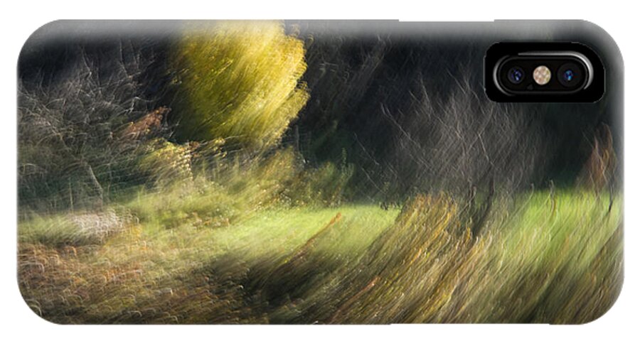 Wind iPhone X Case featuring the photograph Gone With the Wind by Raffaella Lunelli