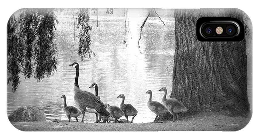 Geese iPhone X Case featuring the photograph Goslings BW7 by Clarice Lakota
