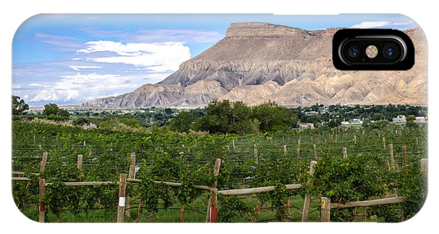 Colorado iPhone X Case featuring the photograph Grand Valley Vineyards by Teri Virbickis