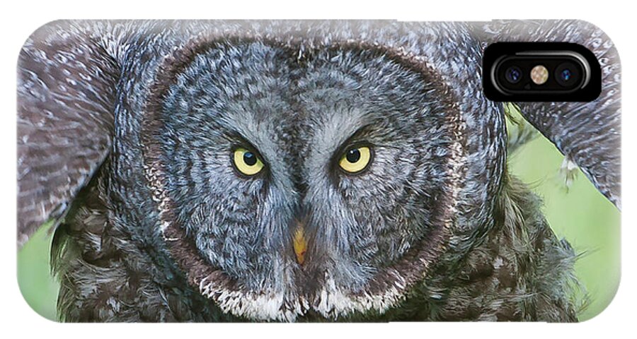 Mark Miller Photos iPhone X Case featuring the photograph Great Gray Owl Flight Portrait by Mark Miller