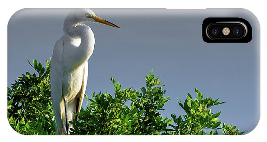 Bird iPhone X Case featuring the photograph Great White Egret by Dillon Kalkhurst