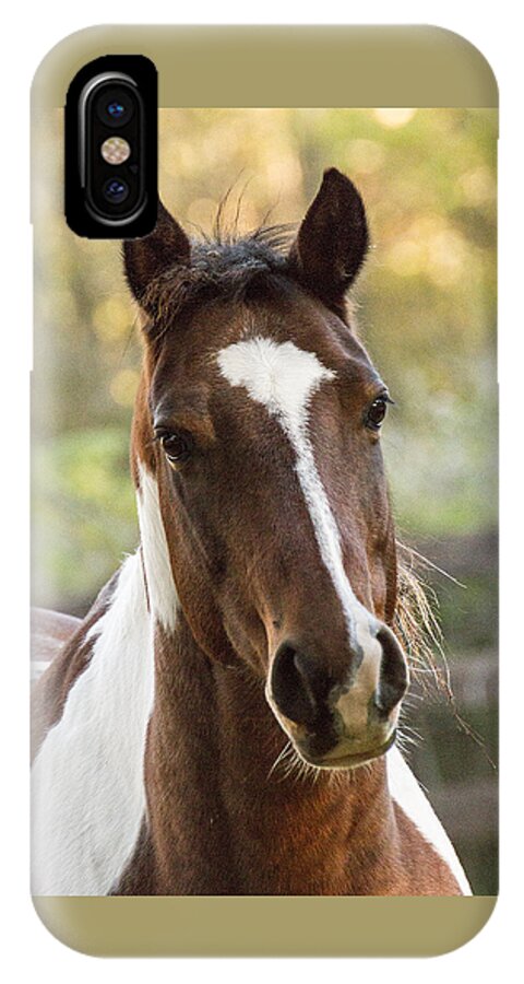 Brown iPhone X Case featuring the photograph Happy Horse by Suanne Forster