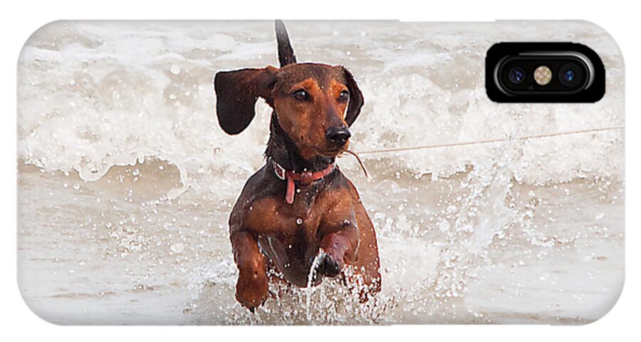 Scenery iPhone X Case featuring the photograph Happy Surf Dog by Kenneth Albin
