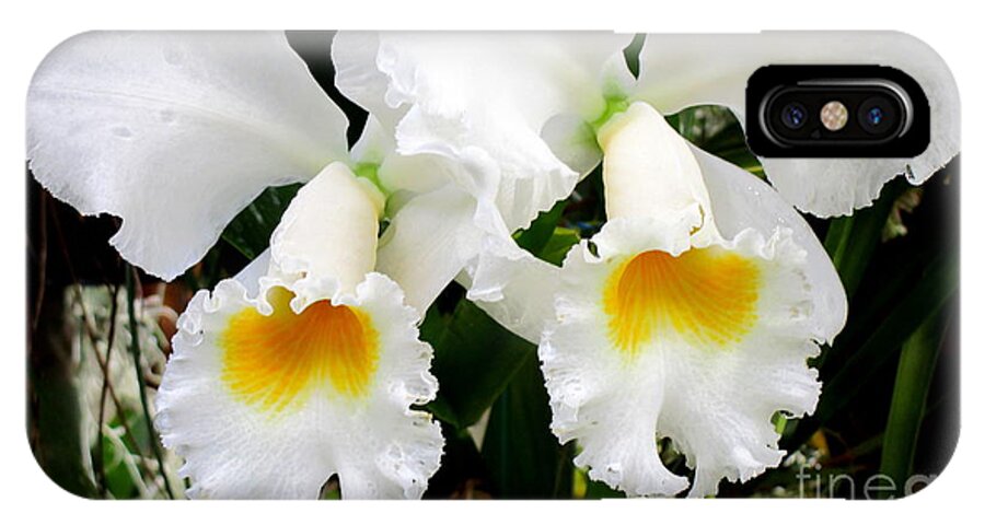 Orchid iPhone X Case featuring the photograph Hawaiian Orchid 35 by Randall Weidner