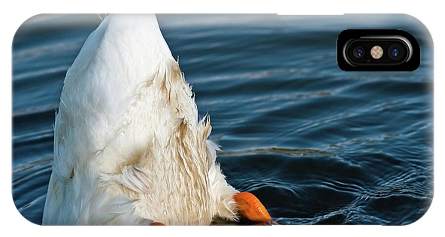 Duck iPhone X Case featuring the photograph Here Is What I Think by Ed Peterson