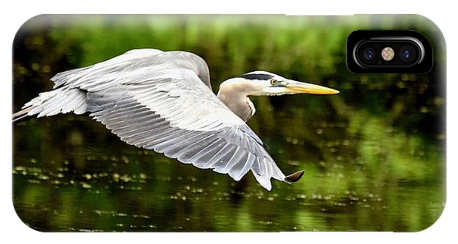 Wall Art iPhone X Case featuring the photograph Heron In Flight by Jeffrey PERKINS
