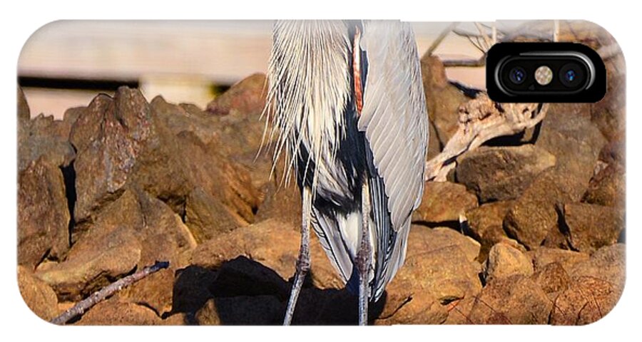 Heron On The Rocks iPhone X Case featuring the photograph Heron On The Rocks by Lisa Wooten