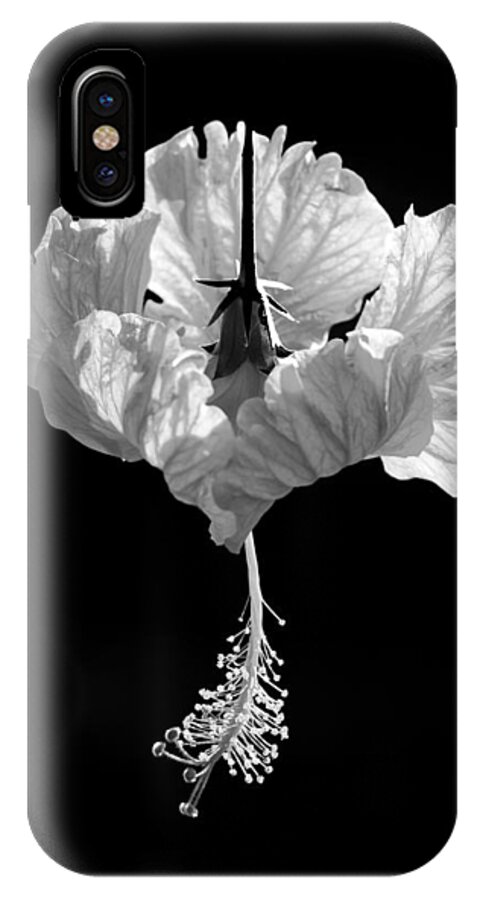 Black iPhone X Case featuring the photograph Hibiscus as Art 2 by Hitendra SINKAR