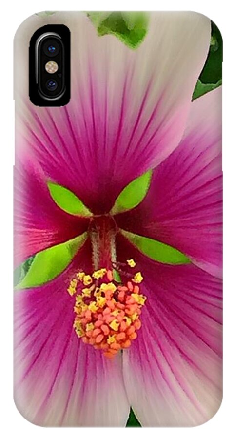 3000 Views iPhone X Case featuring the photograph Hibiscus Face by Jenny Revitz Soper