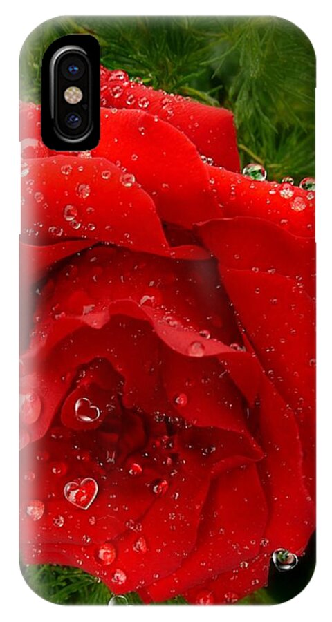 Red Rose iPhone X Case featuring the mixed media Hidden Hearts by Morag Bates