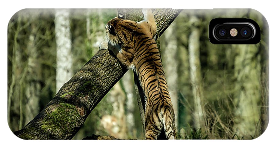 Tiger iPhone X Case featuring the photograph Hide and Seek by Chris Boulton