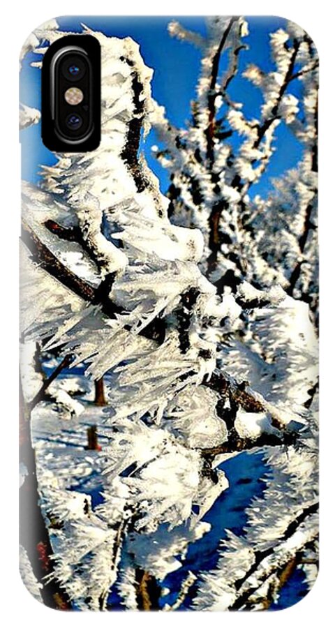 Winter iPhone X Case featuring the photograph Hoar Frost by 'REA' Gallery