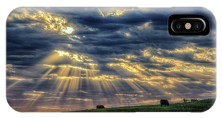 Sunbeam iPhone X Case featuring the photograph Holy Cow by Fiskr Larsen