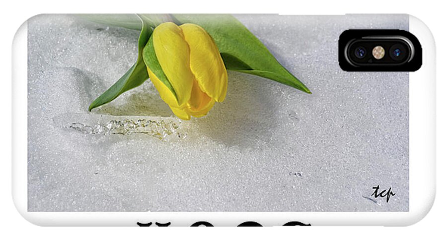Hope iPhone X Case featuring the photograph Hope by Traci Cottingham