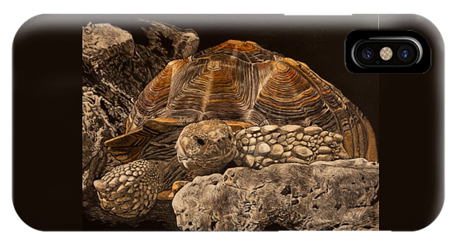 African Spur Tortoise iPhone X Case featuring the photograph How you doin by Margaret Sarah Pardy
