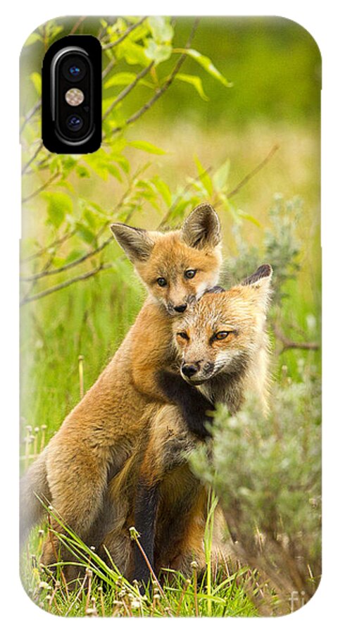 Red Fox iPhone X Case featuring the photograph Hugs by Aaron Whittemore