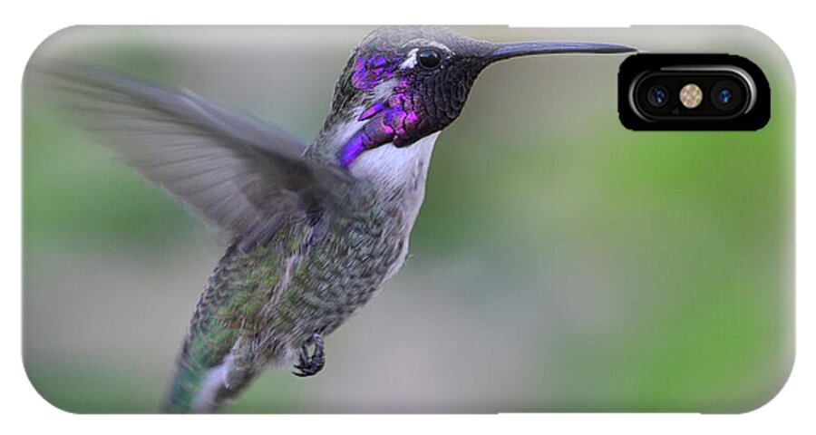 Rose iPhone X Case featuring the photograph Hummingbird Flight by Debby Pueschel