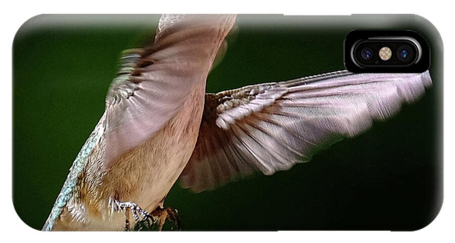 Hummingbird iPhone X Case featuring the photograph Hummingbird in flight by Ronda Ryan