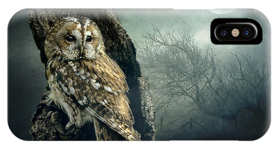 Owl iPhone X Case featuring the photograph Hunter's Moon by Brian Tarr