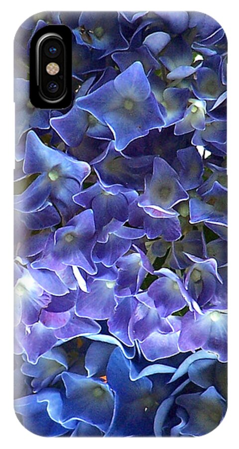 Hyacinth iPhone X Case featuring the photograph Hyacinth by Steven Huszar