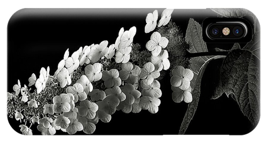Flower iPhone X Case featuring the photograph Hydrangea in Black and White by Endre Balogh