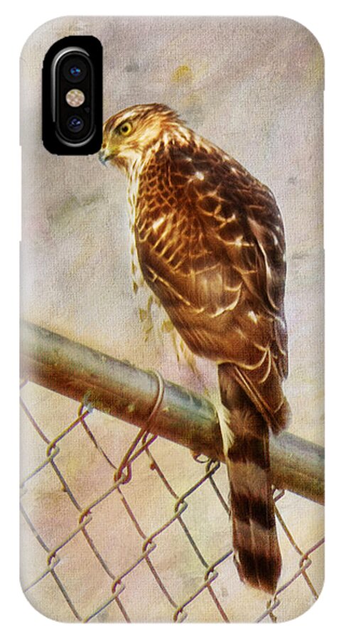 Greeting Cards iPhone X Case featuring the photograph I See You by Rhonda Strickland