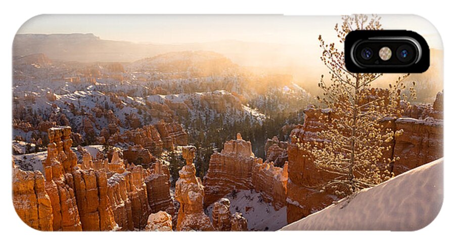 Bryce Canyon iPhone X Case featuring the photograph Illumination by Emily Dickey