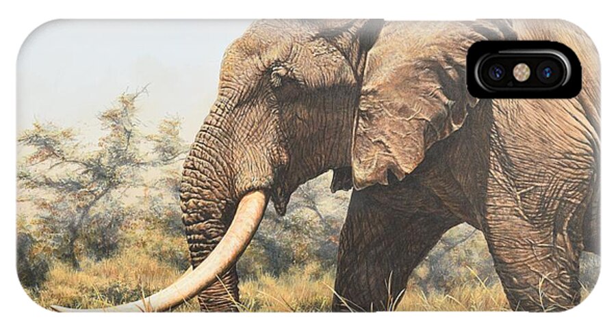 Wildlife Paintings iPhone X Case featuring the painting In the Footsteps of Elders by Alan M Hunt