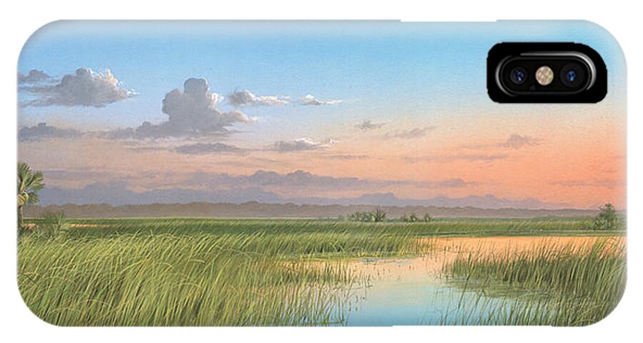 Florida Marsh iPhone X Case featuring the painting Indian River by Mike Brown