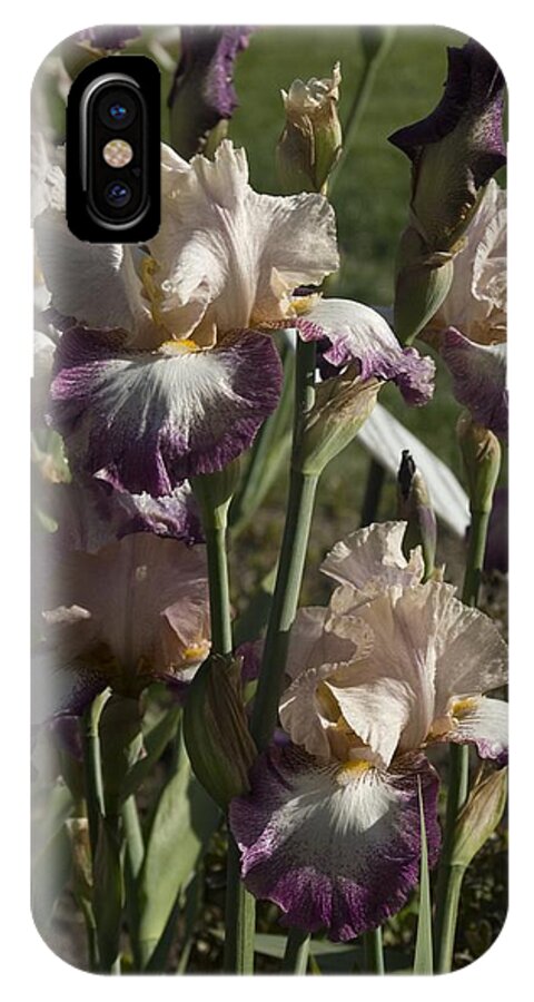 Iris iPhone X Case featuring the photograph Iris 3 by Sara Stevenson
