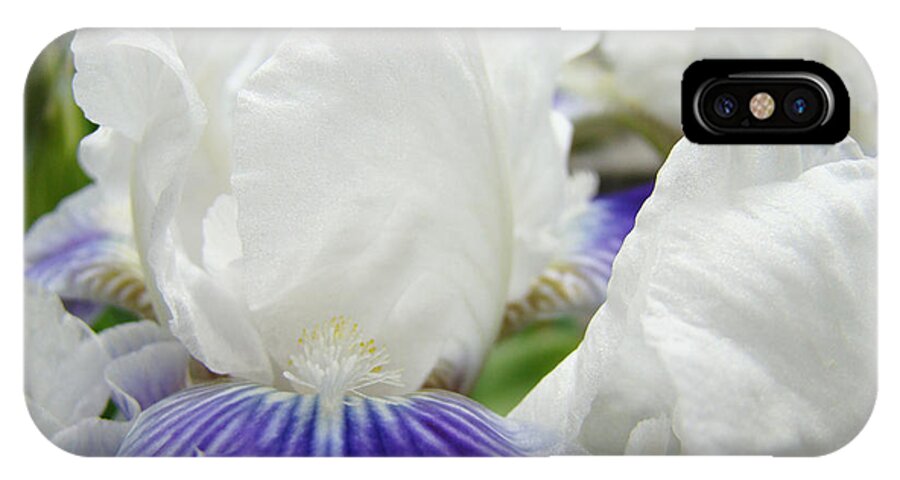 Iris iPhone X Case featuring the photograph IRISES FLOWERS Art Print Gifts White Purple Iris Flower by Patti Baslee