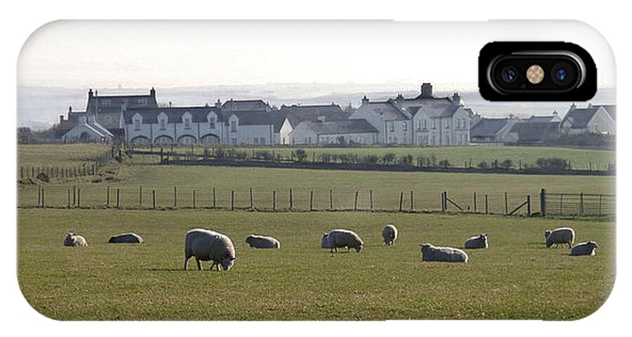 Farm iPhone X Case featuring the photograph Irish Sheep Farm by Henri Irizarri