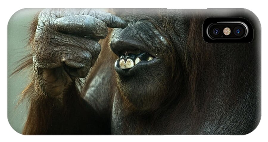 Orangutan iPhone X Case featuring the photograph Is That My Nose by Ang El