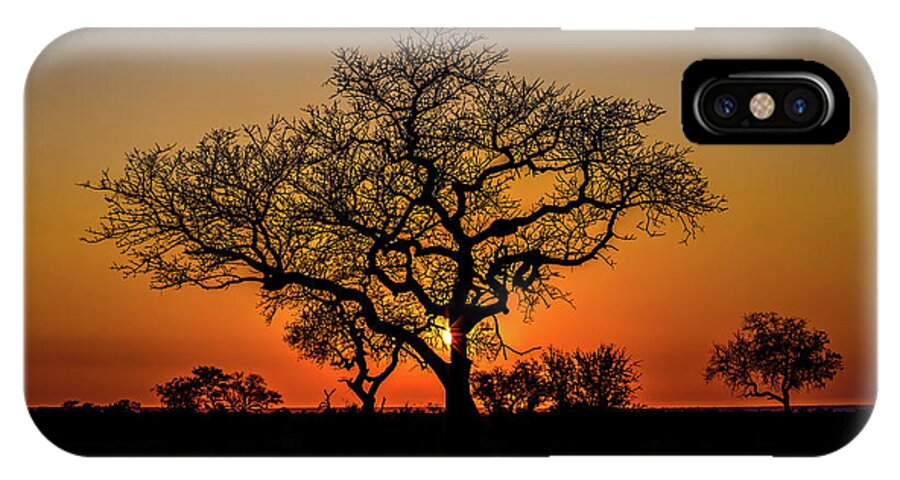 African iPhone X Case featuring the photograph Isimangaliso Wetland Park by Benny Marty