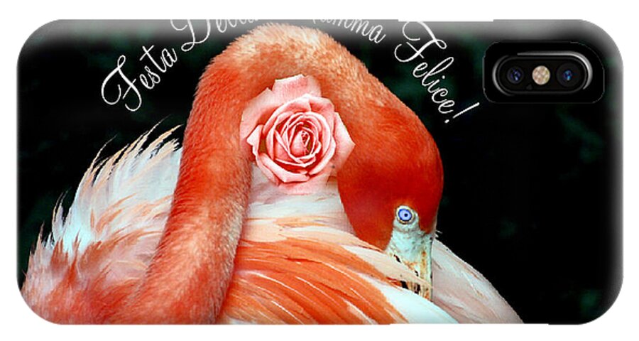 Greeting Card iPhone X Case featuring the photograph Italian Happy Mothers Day Flamingo by Donna Proctor
