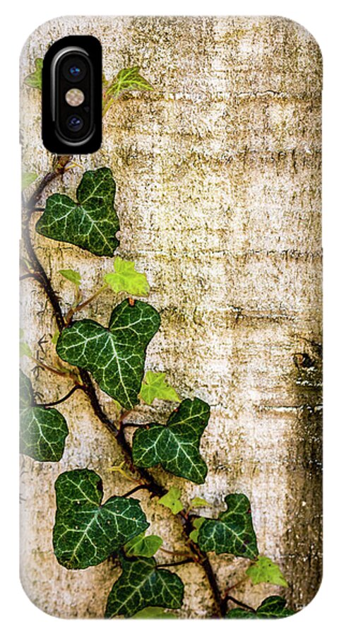Ivy iPhone X Case featuring the photograph Ivy on the Fence Post by Susie Weaver