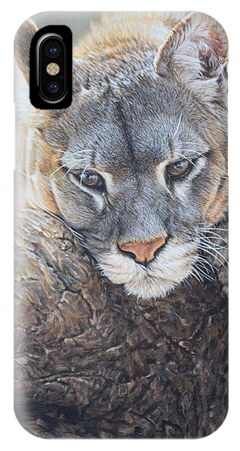 Cougar iPhone X Case featuring the painting Just Chilling by Alan M Hunt
