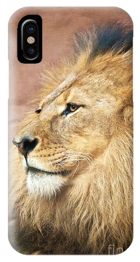 Photograph iPhone X Case featuring the photograph King of the Jungle by Bob and Nancy Kendrick