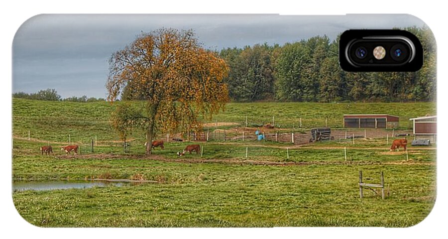 Cows iPhone X Case featuring the photograph 1002 - Kingston Road Cows by Sheryl L Sutter