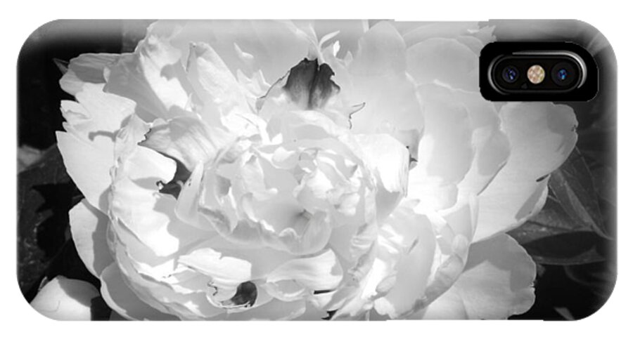 Black iPhone X Case featuring the photograph Kissed by Shelley Jones