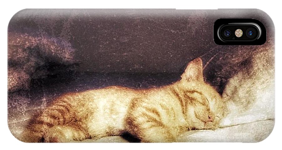 Hilary J England iPhone X Case featuring the digital art Kitty on his bed by Hilary England